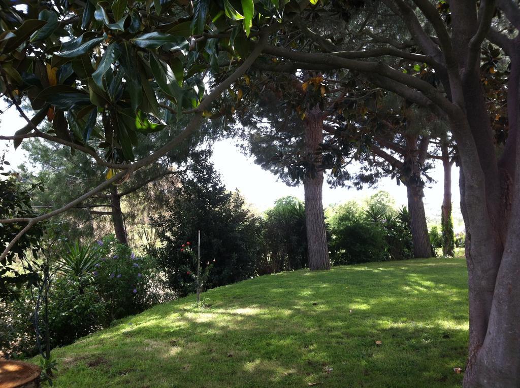 Bed and Breakfast La Finestra Sul Cortile Pomezia Exterior foto