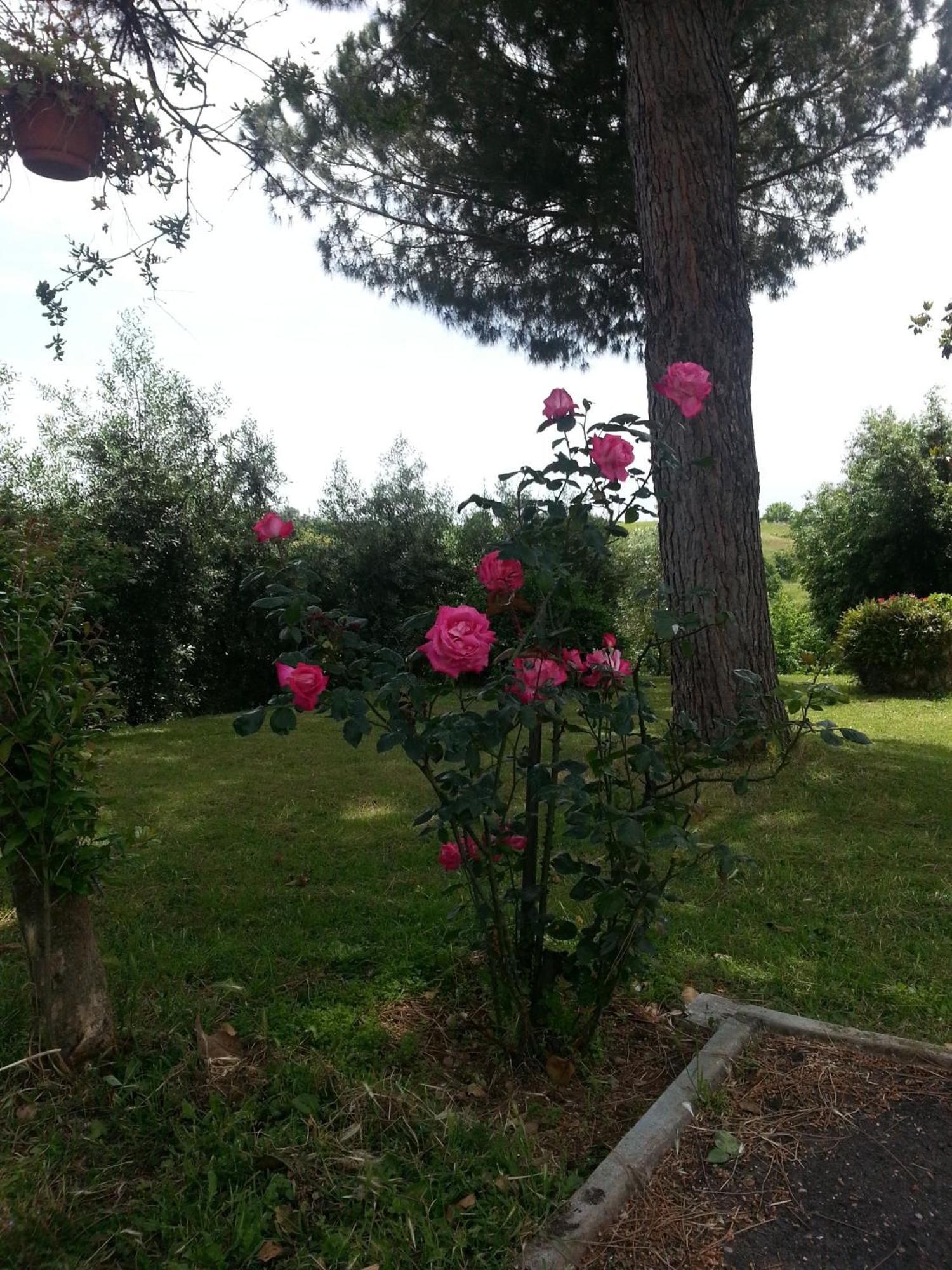 Bed and Breakfast La Finestra Sul Cortile Pomezia Exterior foto